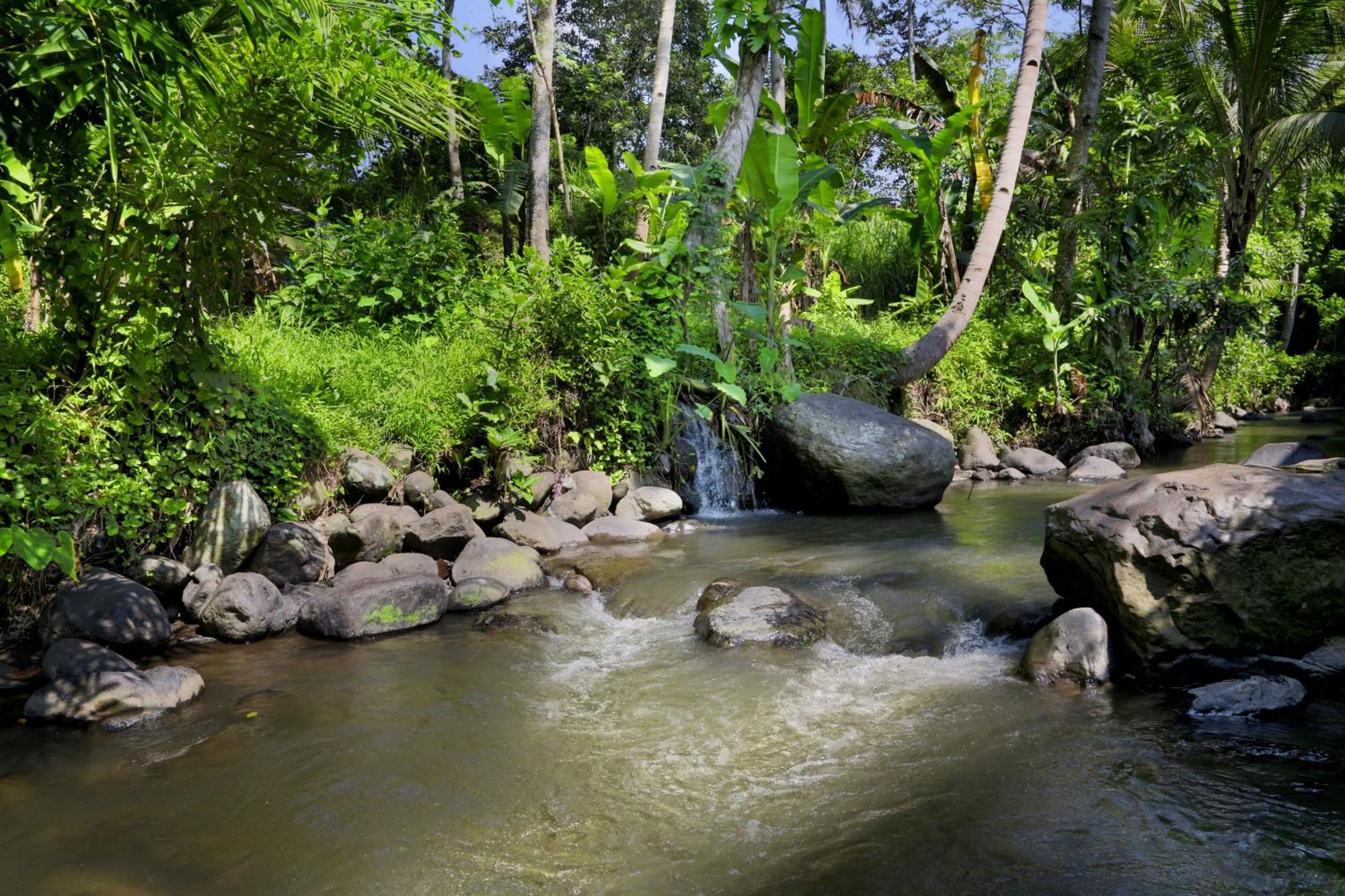 Amata Borobudur Resort Маґеланґ Екстер'єр фото