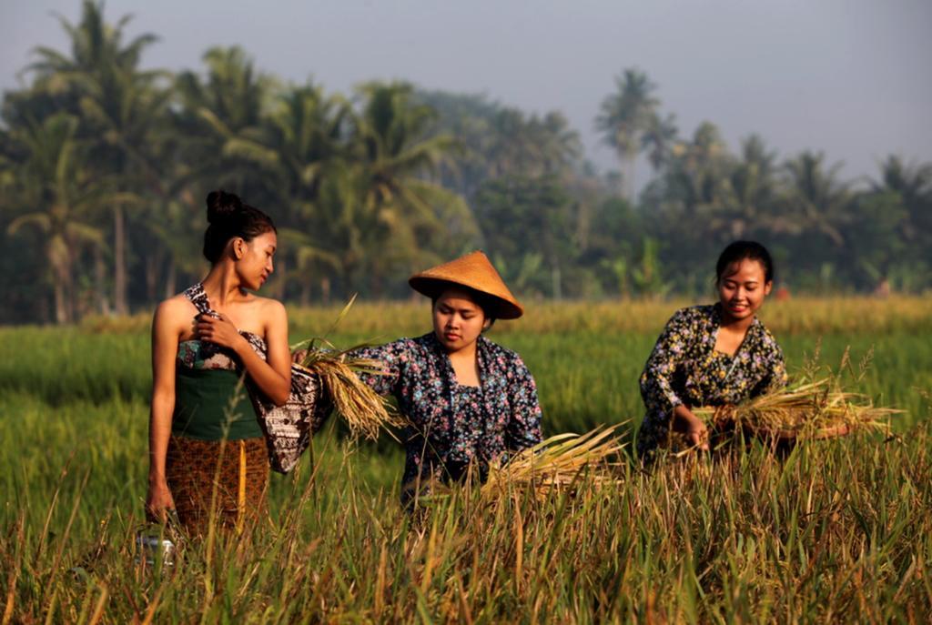 Amata Borobudur Resort Маґеланґ Екстер'єр фото